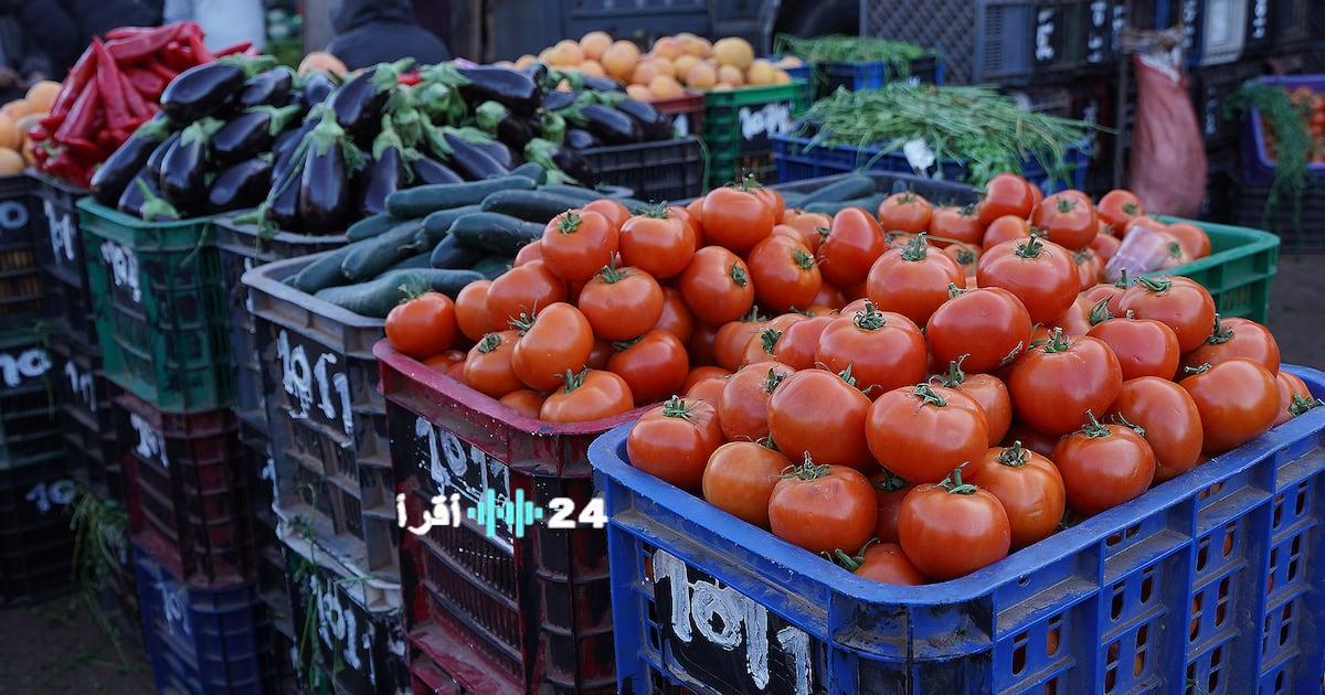 تحليل تاريخي لأسعار زيت الزيتون مقارنة بزيادة أسعار السردين واللحوم والخضروات