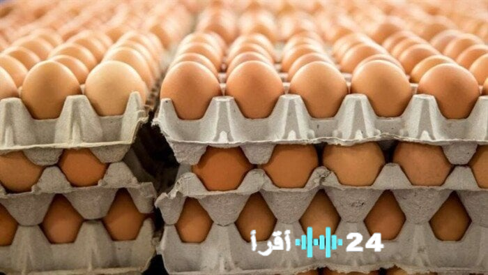سعر كرتونة البيض البلدي للمستهلك بتاريخ 16 يناير 2026