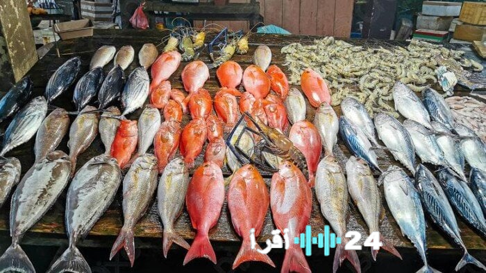 أسعار الأسماك والجمبري اليوم الأحد 18 يناير 2026 في الأسواق المحلية