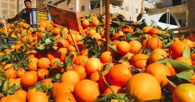 أسعار الخضروات والفواكه في المنوفية بتاريخ 18-1-2026.. البرتقال بـ15 جنيها