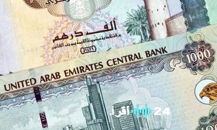 «استقرار سعر الدرهم الإماراتي اليوم الثلاثاء 20 يناير 2026»