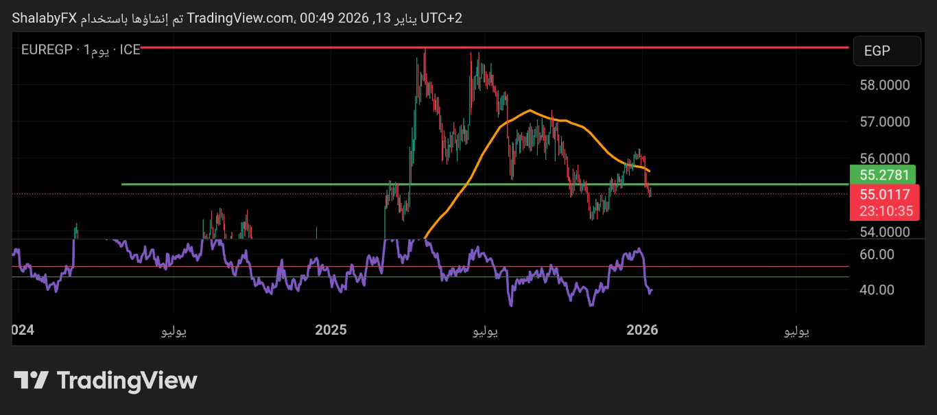 «استقرار سعر صرف اليورو مقابل الجنيه المصري»
