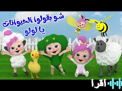 تردد وناسة 2026 الجديد بوابتك لمتعة ترفيهية لا تنتهي