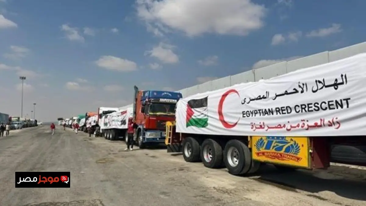 «بصيص أمل جديد» قافلة “زاد العزة” رقم 127 تضخ دعمًا إغاثيًا حيويًا إلى غزة المحاصرة