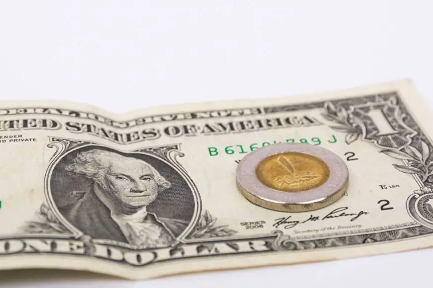 «نزيف الأخضر» الدولار يواصل التراجع أمام الجنيه في 2025 ويدخل في رحلة هبوط مستمرة دون توقف