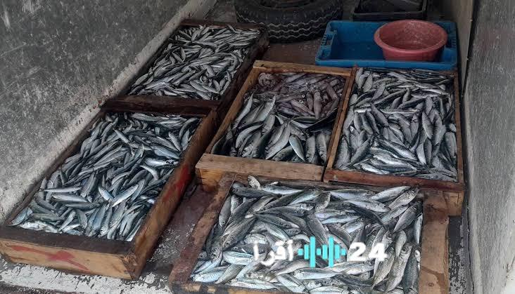 غضب شعبي بسبب ارتفاع أسعار السردين والمرصد المغربي لحماية المستهلك يطالب بتحقيق سريع