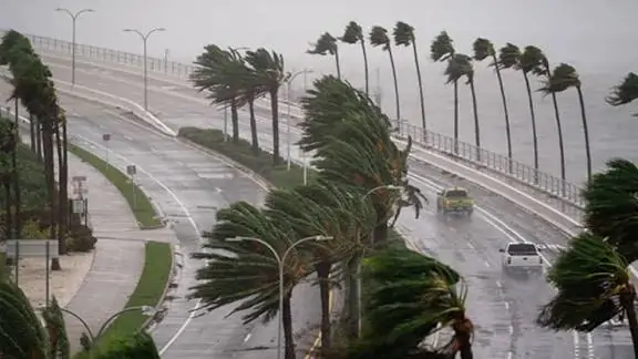 «طقس عاصف يضرب المنطقة الشرقية» تحذيرات عاجلة من الأرصاد بشأن أمطار رعدية ورياح قوية وموجة غبار حتى المساء