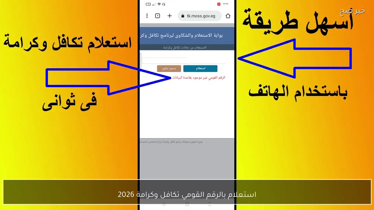 استعلام عن تكافل وكرامة 2026 باستخدام الرقم القومي عبر موقع وزارة التضامن الاجتماعي