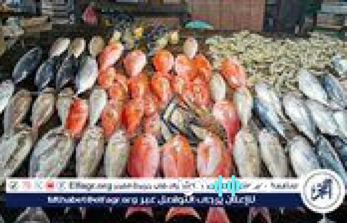 أسعار السمك في محافظة الأقصر اليوم الخميس 15 يناير 2026