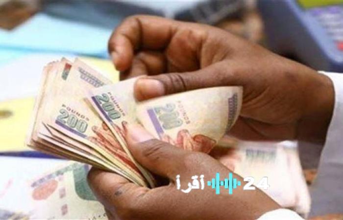 مرتبات يناير 2026 بالزيادة الجديدة لجميع الدرجات الوظيفية هل تبكر موعد الصرف رسمياً