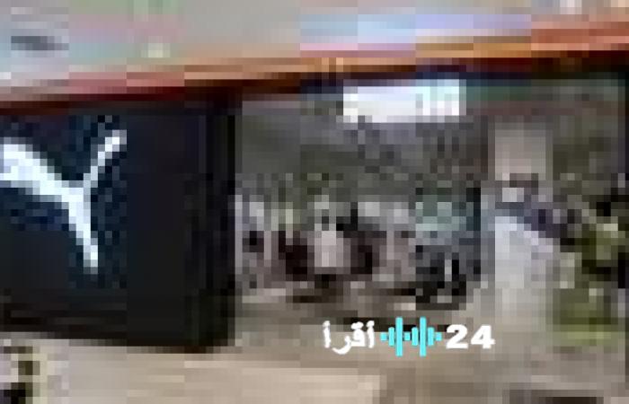 استحواذ نافذة “أنتا” الصينية على 29% من أسهم “بوما” مقابل 1.5 مليار يورو