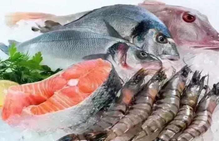أسعار الأسماك في السوق اليوم الثلاثاء 27 يناير 2026 وكم سجل سعر الجمبري