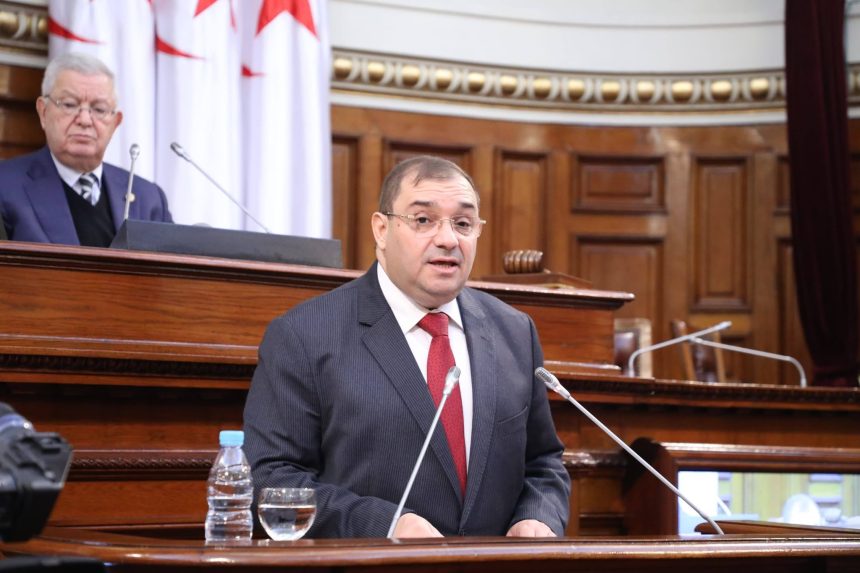 وزير العدل يكشف تفاصيل قانون الجنسية الجديد الهادف لحماية سيادة الوطن ووحدته ومؤسساته