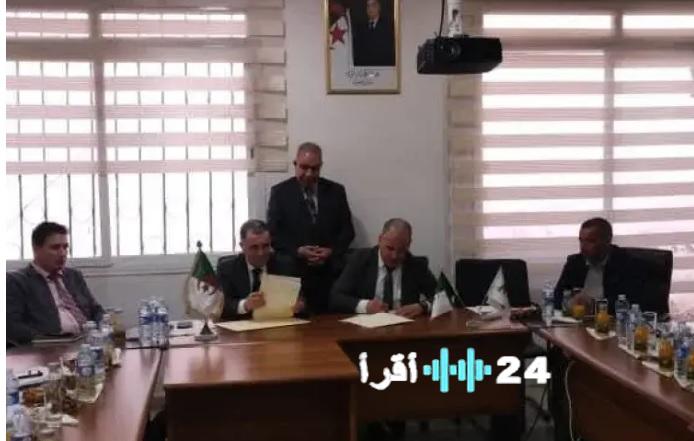 أسعار الدواجن لن تتجاوز 350 دينارًا للكيلوغرام خلال شهر رمضان