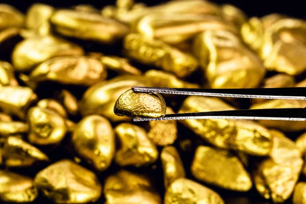 «الذهب يتخطى التوقعات» أسعار الذهب اليوم الأربعاء 14 يناير 2026 في الصاغة المصرية وتحديثات الجنيه والسبائك