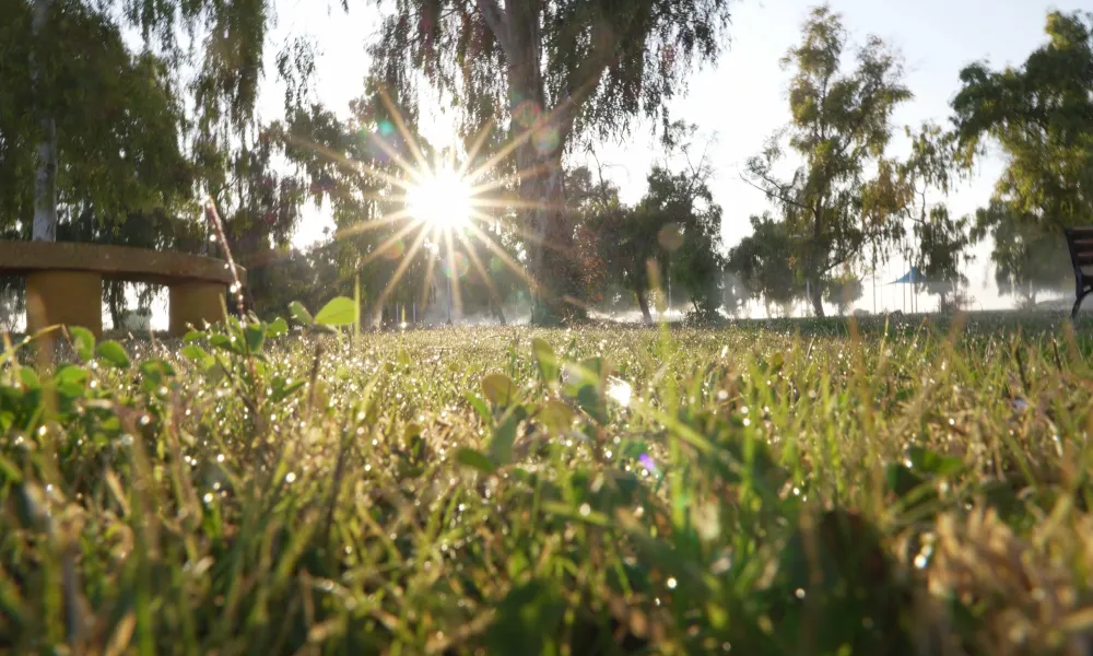 انخفاض حاد في درجات الحرارة في السعودية مع تحذيرات من مخاطر الصقيع