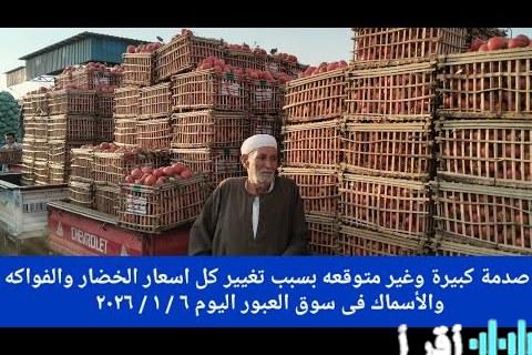 تحليل تأثير تقلبات أسعار الخضروات في الأقصر على السوق المحلية يوم الأربعاء