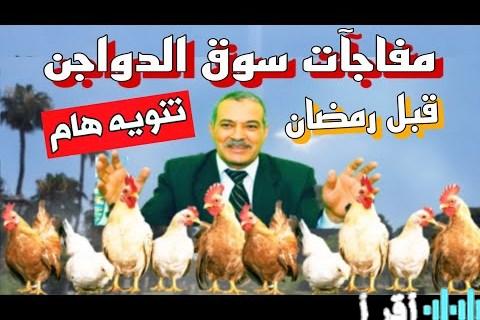 ارتفاع أسعار الدواجن والبيض في السوق قبل رمضان يثير مفاجآت غير متوقعة