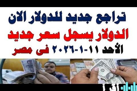 «نبض السوق» البنك المركزي المصري يسجل سعر شراء الدولار 47.13 جنيها