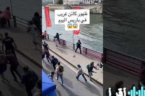 تحليل تأثير تقلبات سعر الدولار في البنوك المصرية على أداء الأسواق المحلية