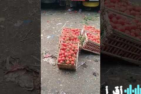 أسعار الطماطم اليوم في الأسواق المحلية وما يؤثر عليها