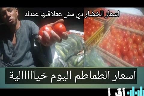 سعر الخضار اليوم: تراجع الطماطم وزيادة الخيار والليمون في الأسواق
