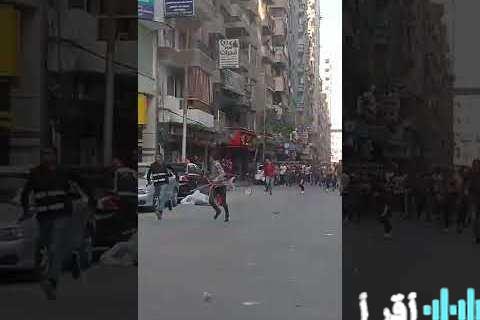 أسعار الخضروات والفواكه في المنوفية بتاريخ 7 يناير 2026 – تقييم وتوجهات السوق