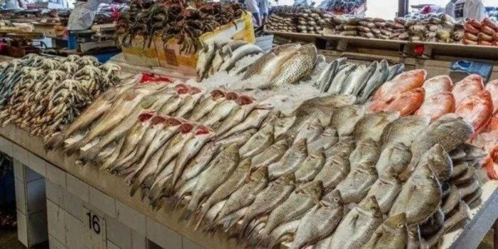 أسعار الأسماك تشهد ارتفاعاً ملحوظاً في الأسواق اليوم الخميس 8 يناير 2026