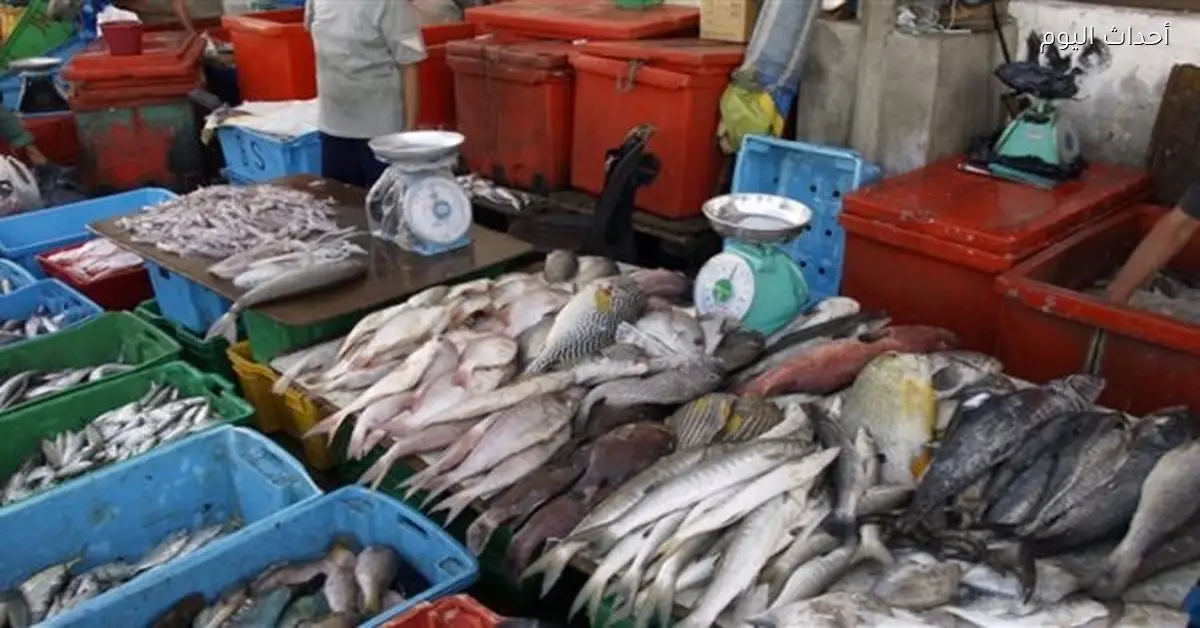 أسعار الأسماك في سوق العبور اليوم 2 يناير 2026 تتأرجح بين ارتفاع وانخفاض