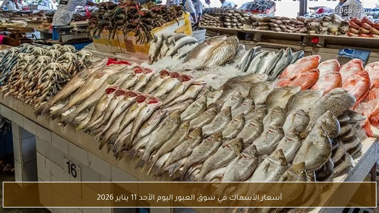 أسعار الأسماك اليوم في سوق العبور الأحد 11 يناير 2026