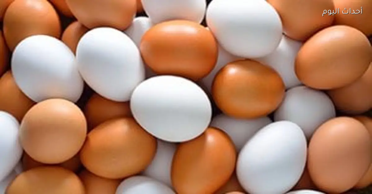 «أسعار محدثة للدواجن في الأقصر: الفراخ البيضاء والبلدي والبط بتاريخ 17 يناير 2026»