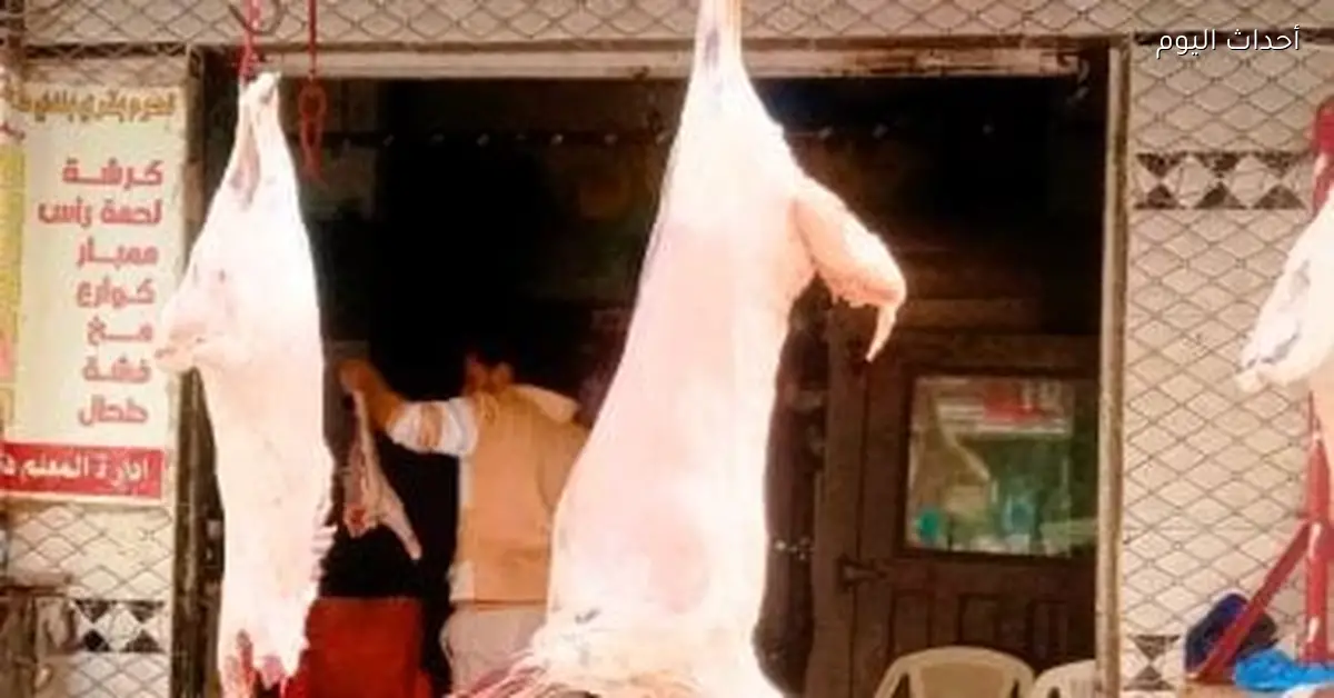 «قرارات شرائية ذكية» نشرة تكاليف البروتينات البيضاء بسوهاج مع بدء تعاملات الخميس الثامن من يناير 2026