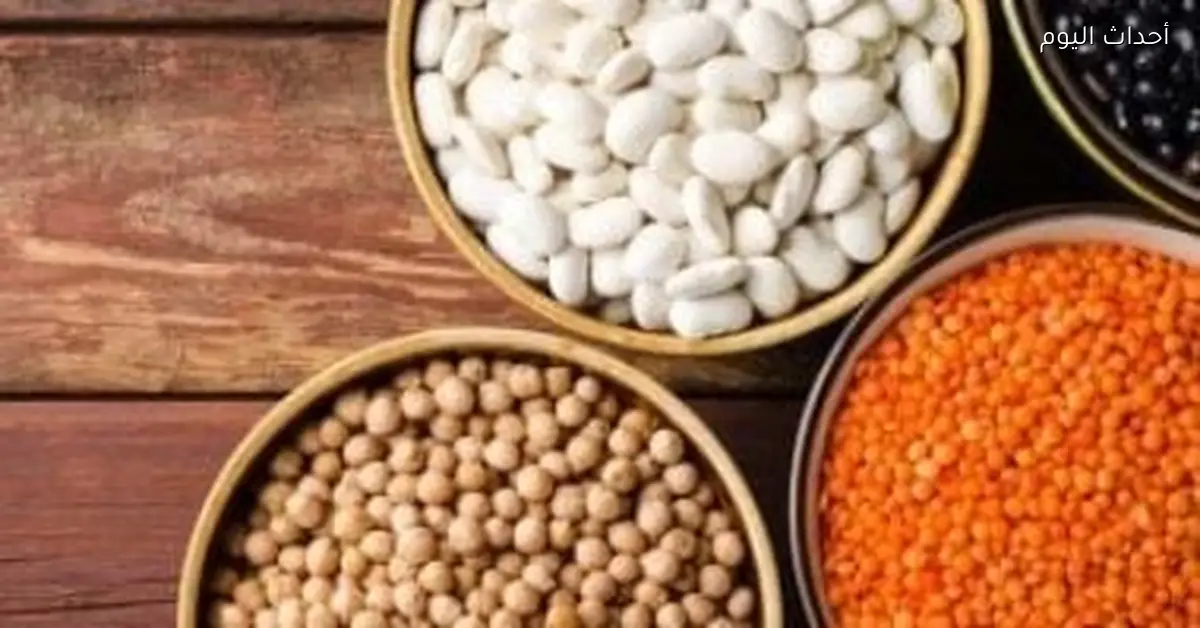 «استكشف أسعار الفول البلدي والبقوليات في كفر الشيخ اليوم 14 يناير 2026»