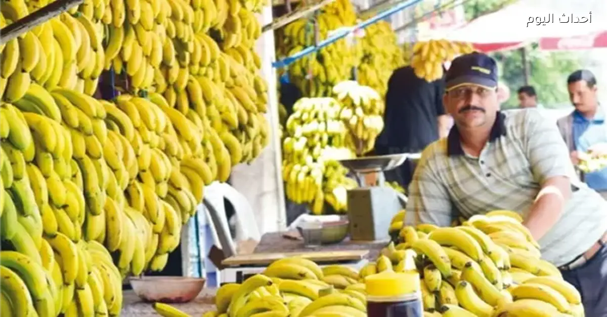 «أسعار الموز تشهد تقلبات ملحوظة اليوم الجمعة 2 يناير 2026»