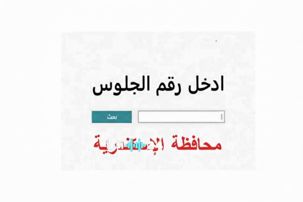 فور ظهورها… رابط الحصول على نتيجة الشهادة الإعدادية محافظة الإسكندرية 2026 والمجموع الكلي