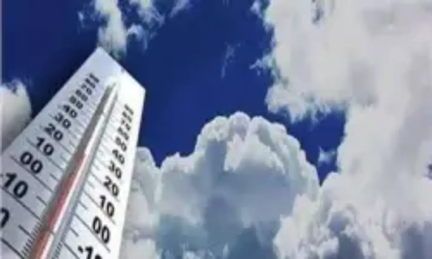 تحذير الأرصاد من الشبورة الكثيفة على الطرق الزراعية والسريعة صباحًا