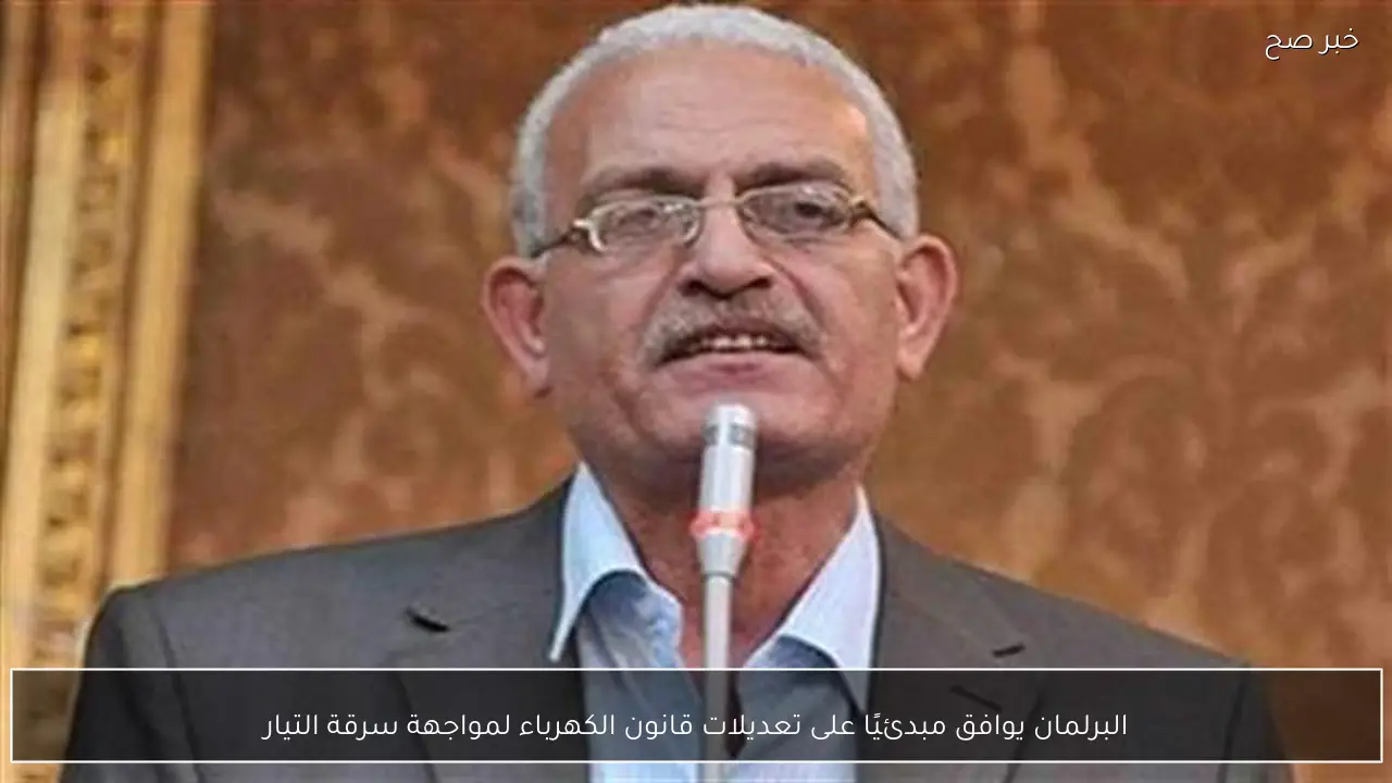 البرلمان يقر مبدئيًا تعديلات قانون الكهرباء لردع سارقي التيار