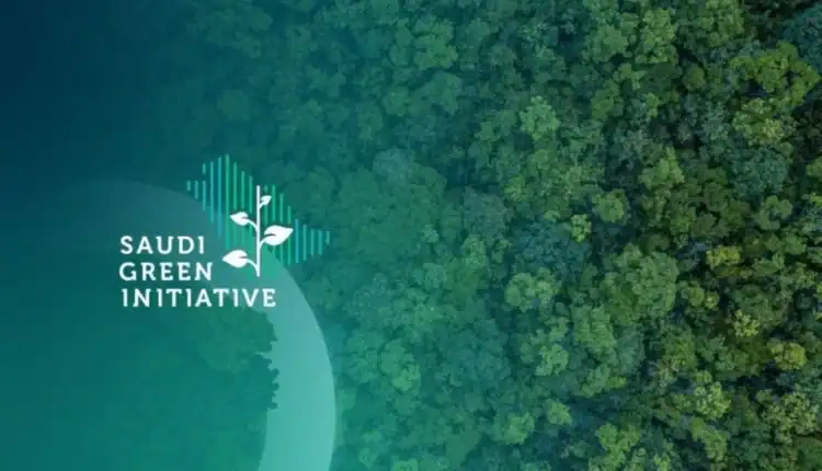 البرنامج الوطني للتشجير يكشف عن أكثر من 55 نوعًا من النباتات المحلية في منطقة القصيم