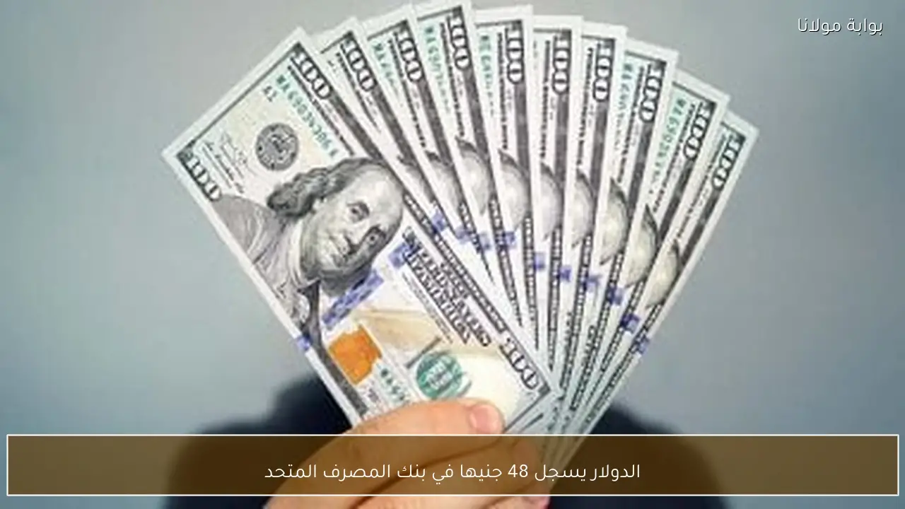 سعر الدولار يصل إلى 48 جنيها في بنك المصرف المتحد
