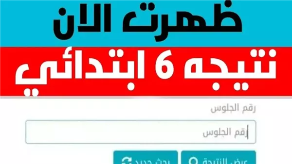 لكل المحافظات.. بوابة التعليم الأساسي 6 ابتدائي نتيجة الصف السادس الابتدائي 2026 الترم الأول بالرقم القومي والألوان