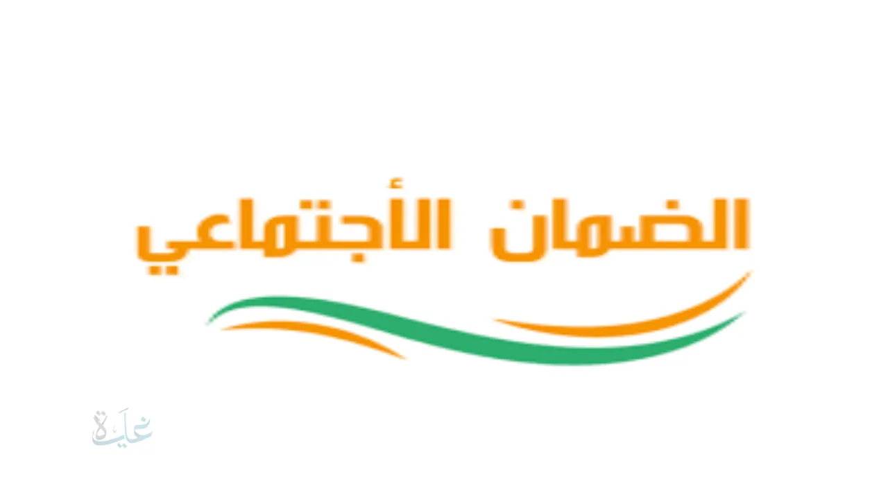 دليل استعلام دفعة الضمان الاجتماعي المطور فبراير 2026 بالهوية عبر نفاذ