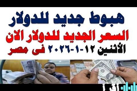 استقرار أسعار العملات في تعاملات البنوك المصرية يوم الأحد 11 يناير 2026