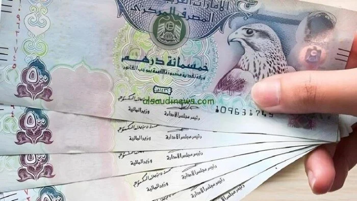 «نبض العملة» الدرهم الإماراتي في البنوك المصرية الأحد 18 يناير 2026 تحركات جديدة ورؤى مستقبلية