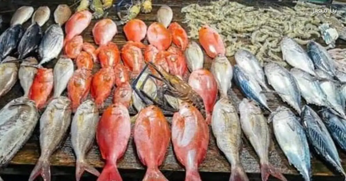 تراجع أسعار البلطي في سوق العبور وأسعار الأسماك اليوم الجمعة