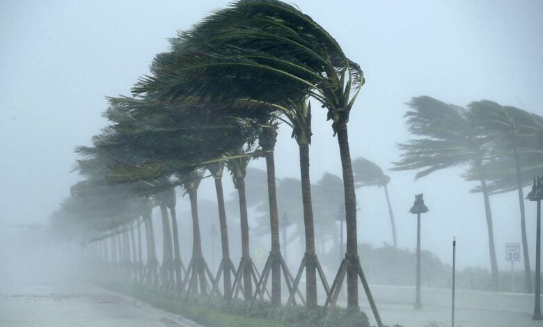 تفاصيل حالة الطقس المتوقعة غدًا الخميس في جميع المحافظات amid تقلبات جوية مرتقبة