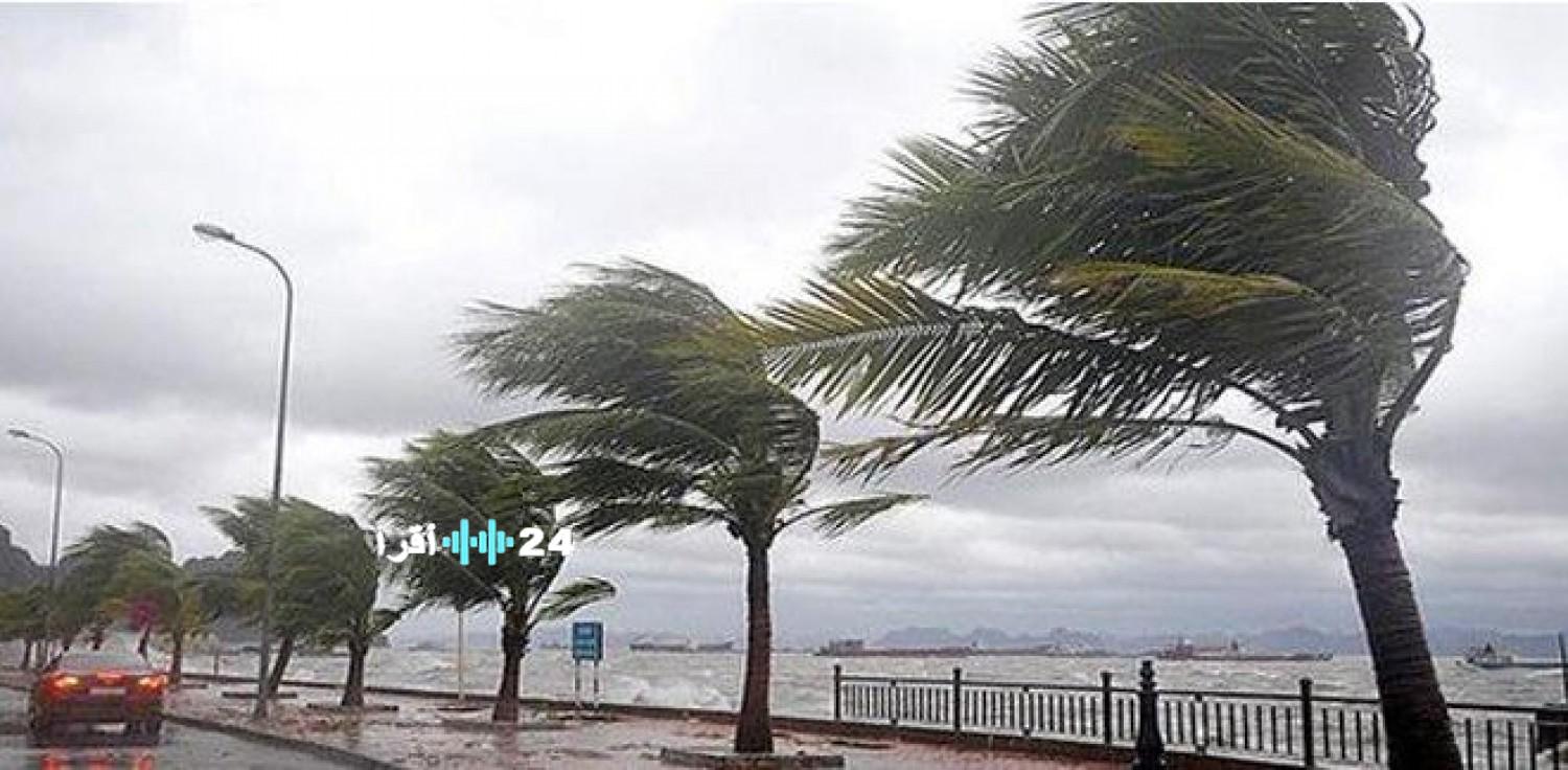 <p><strong>حائل تشهد رياحاً عاتية وعاصفة ترابية تحجب الرؤية: دعوات لتوخي الحذر</strong></p>