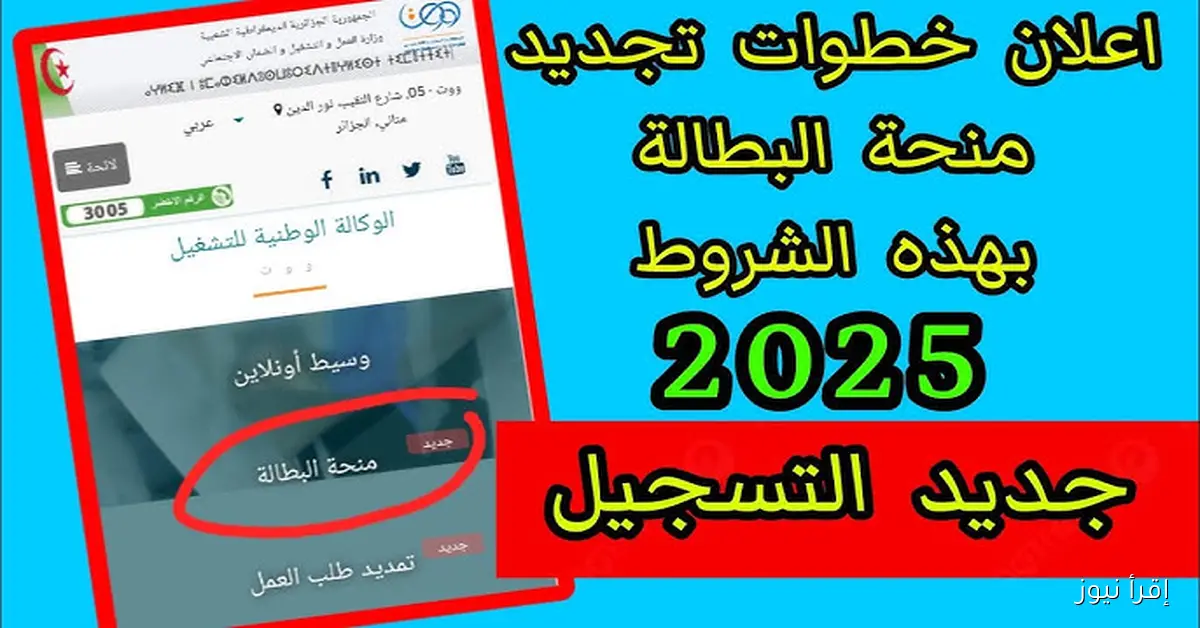 «خطوات أساسية لضمان استمرار الدعم» دليل تجديد منحة البطالة في الجزائر 2025 عبر موقع ANEM الرسمي وشروط الاستفادة المحدثة