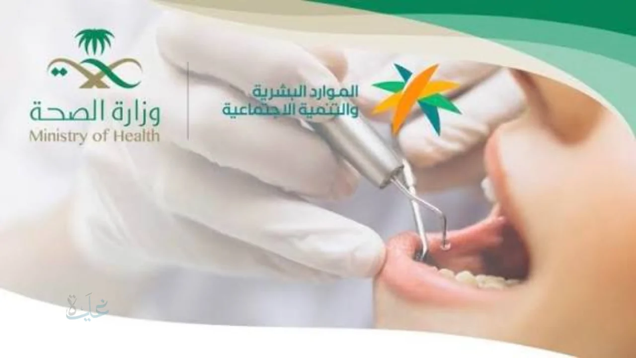 «فرص واعدة واستقرار مهني» المرحلة الثانية لتوطين طب الأسنان الخاص تنطلق بنسبة 55% ورواتب تعزز الاستقرار الوظيفي