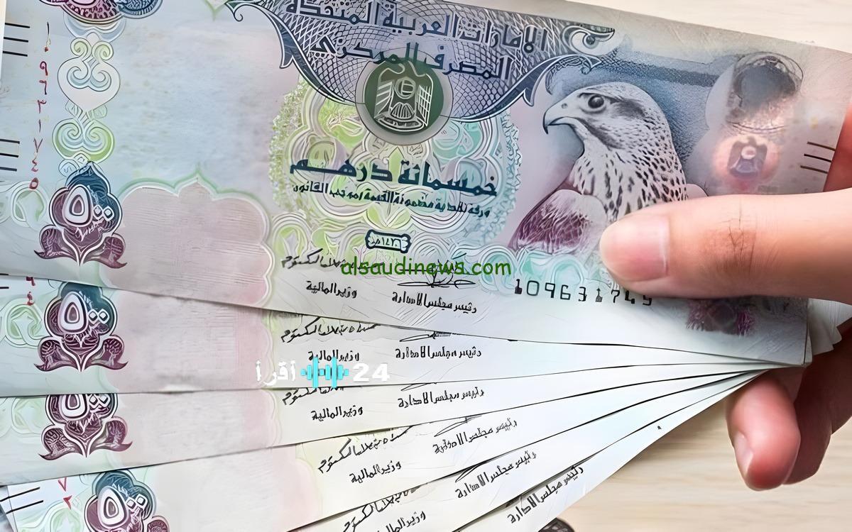 أين تجد أفضل سعر؟ سعر الدرهم الإماراتي اليوم الأحد 25 يناير 2026 في البنوك المصرية