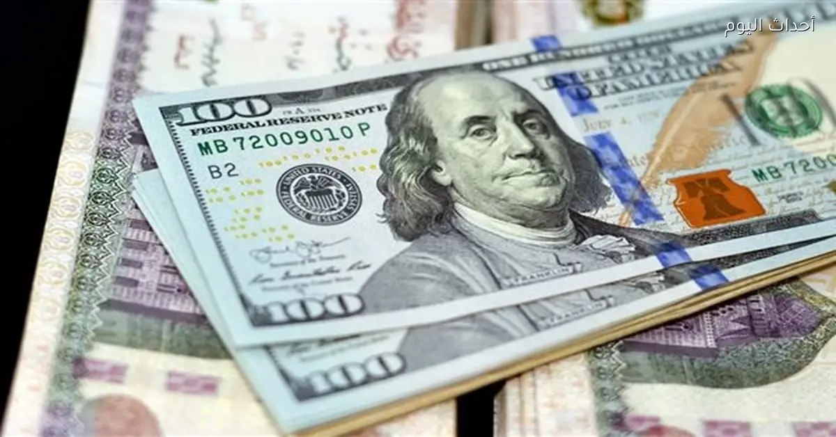 سعر الدولار مقابل الجنيه في البنك المركزي اليوم يثير اهتمام المستثمرين